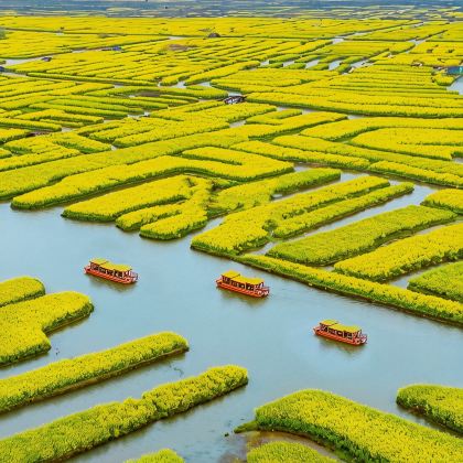 无锡+扬州+泰州+兴化7日6晚私家团