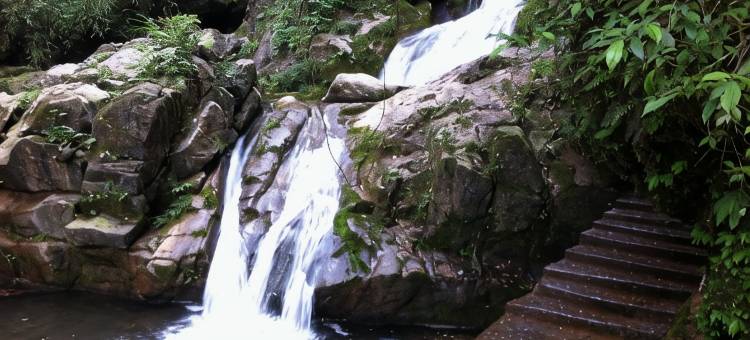 青城后山龙飞山庄图片