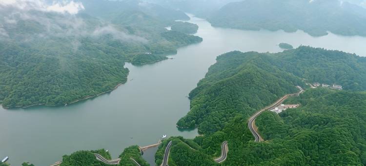 攸县酒埠江龙泉山庄图片