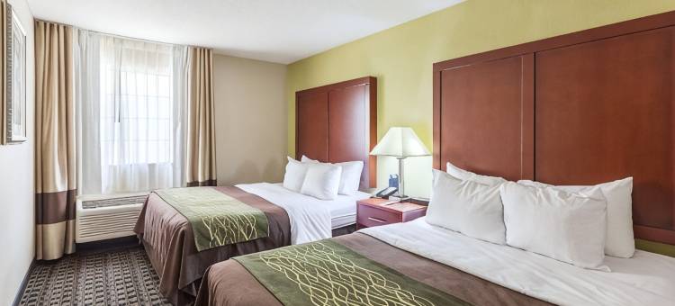 迪凯特普利斯维尔舒适酒店(Comfort Inn Decatur Priceville)图片