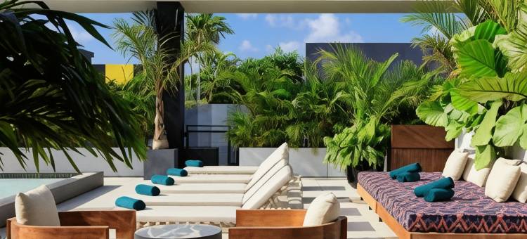 迈阿密Wynwood的Moxy(Moxy Miami Wynwood)图片