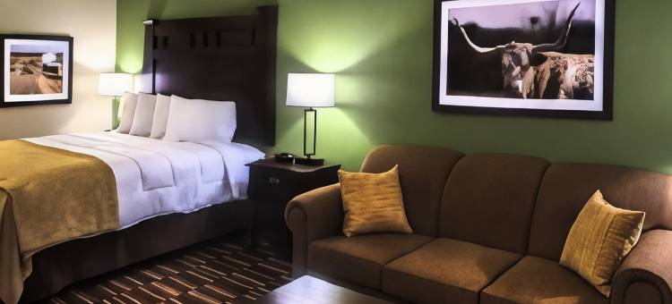 舒适套房酒店(Comfort Inn & Suites)图片