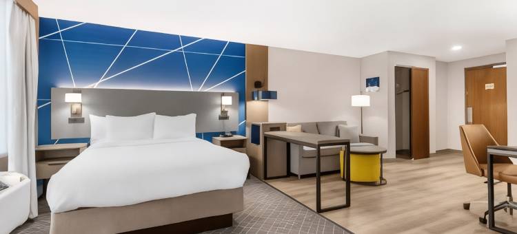 舒适酒店及套房(Comfort Inn & Suites)图片