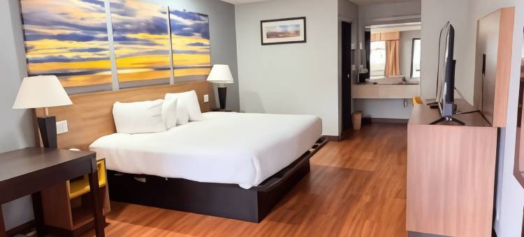 温妮温德姆戴斯套房酒店(Days Inn & Suites by Wyndham Winnie)图片