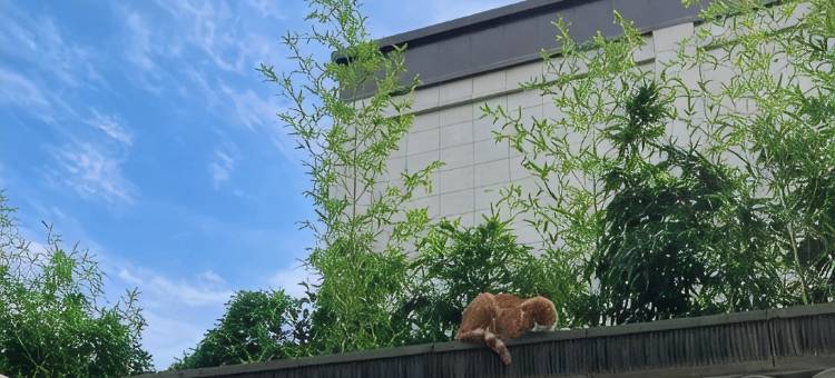 太白山伴山眠花园私汤民宿(绛汤公路分店)图片