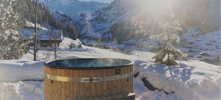 阿尔宾纳假日家庭酒店(Ferien- Und Familienhotel Alpina Adelboden)图片