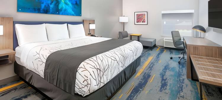 達拉斯费尔帕克温德姆拉昆塔套房酒店(La Quinta Inn & Suites by Wyndham Dallas/Fairpark)图片