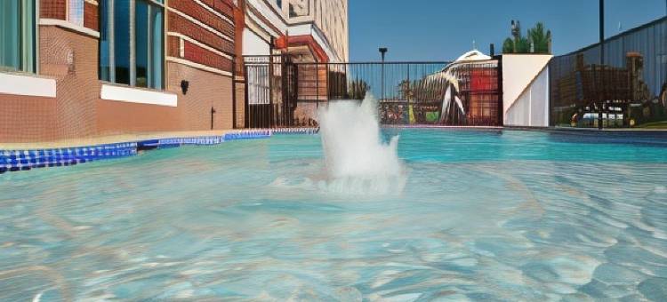 Holiday Inn 达拉斯 - 沃斯堡机场S(Holiday Inn DFW AIRPORT SOUTH by IHG)图片
