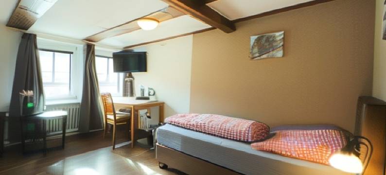 达尔威歌克尔尔托酒店(Hotel am Dalwigker Tor)图片