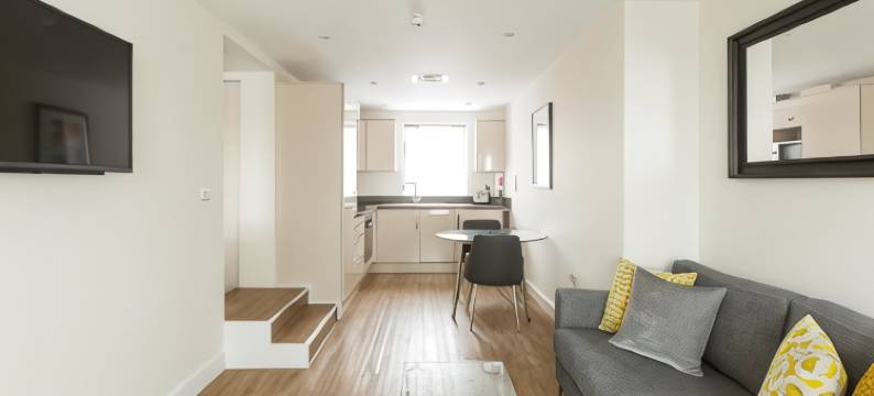 HOF-城市墙别墅(House of Fisher - City Wall House)图片