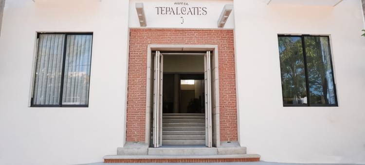 特帕尔卡特斯酒店(Hotel Tepalcates)图片