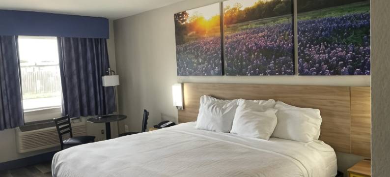 温德姆戴斯酒店圣安东尼奥东南/弗罗斯特银行中心(Days Inn by Wyndham San Antonio Southeast/Frost Bank Center)图片