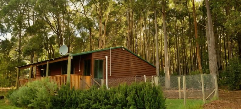 钻石林场农家乐(Diamond Forest Farm Stay)图片