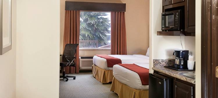 智选假日套房酒店布朗斯维尔 by IHG(Holiday Inn Express & Suites Brownsville by IHG)图片