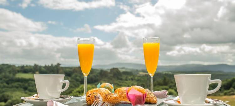 诺拉特托雷德萨酒店(Hotel Spa Norat Torre Do Deza)图片