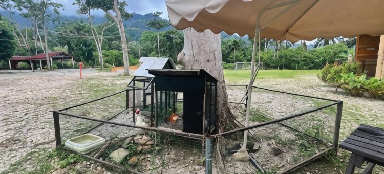 Capital O 91152 Jerot Dusun Campsite图片