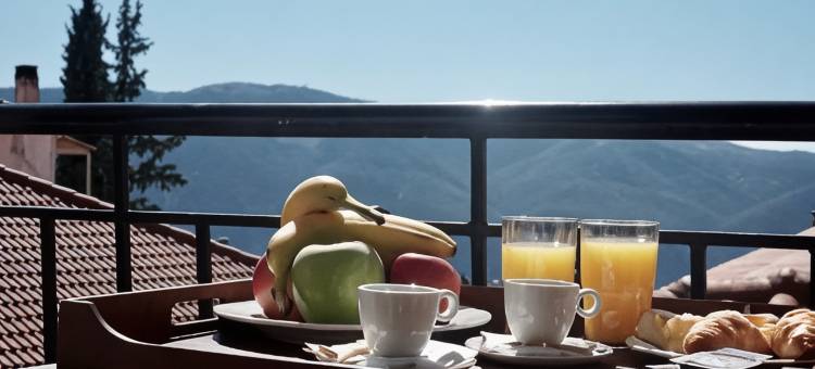 阿拉霍瓦埃克森诺纳斯艾尔逊尼旅馆(Xenonas Iresioni)图片