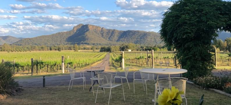 蓝丁格尔酒庄奢华别墅(Nightingale Villas)图片