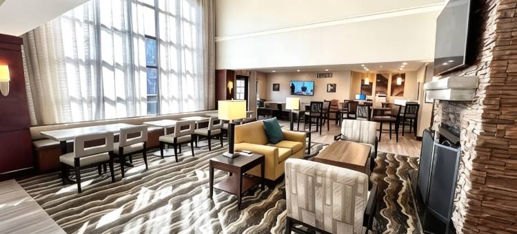 Staybridge Suites 底特律 - 诺维 by IHG(Staybridge Suites Detroit - Novi)图片