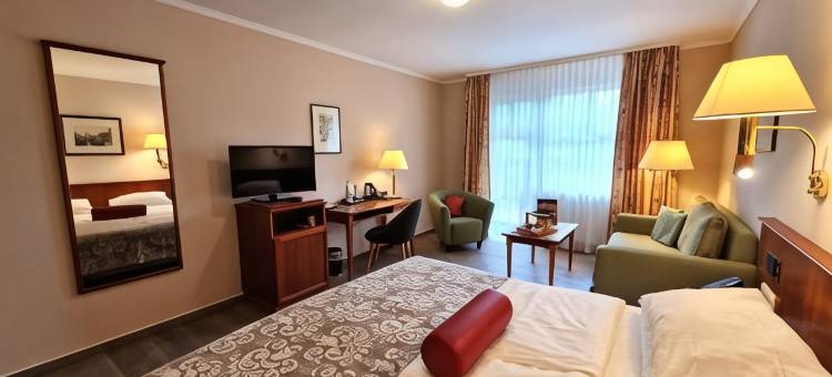 祖姆斯汀环形酒店(Hotel Zum Stein Wellness & Genuss Resort)图片