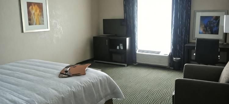 希尔顿欢朋酒店-卡里索斯普林斯(Hampton Inn Carrizo Springs)图片