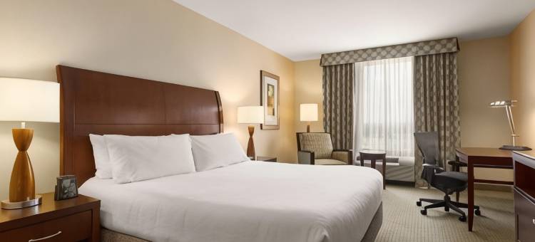 北杜勒斯希尔顿花园酒店(Hilton Garden Inn Dulles North)图片