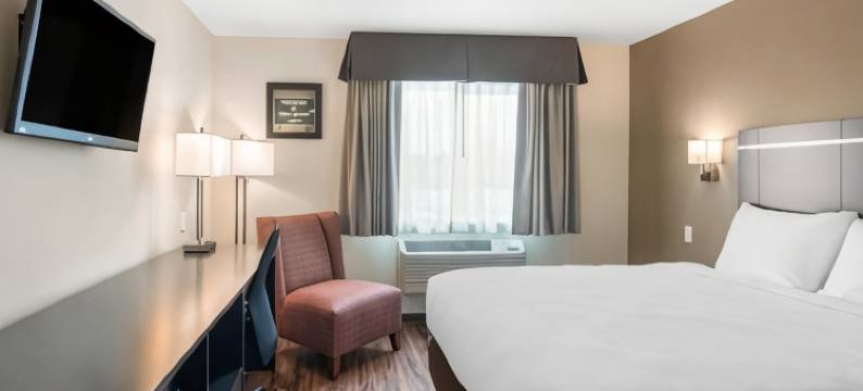 伊克诺套房旅馆(Econo Lodge Inn & Suites)图片