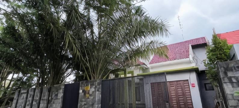 Omah Sare Griya MT - MT Griya图片