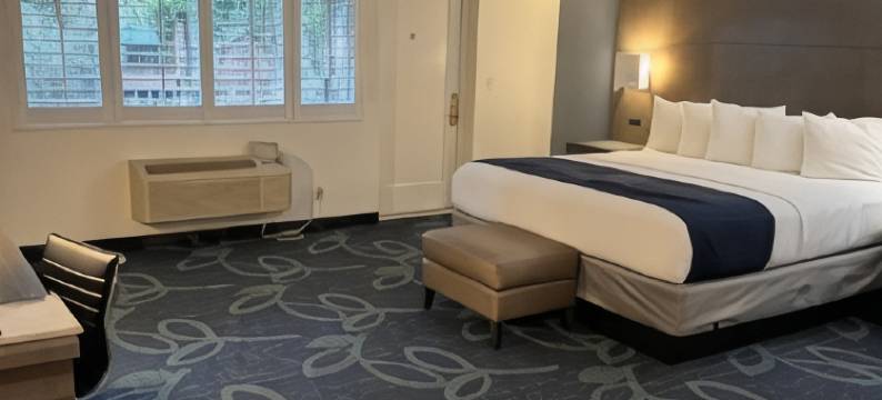 历史悠久的布鲁克代尔旅馆，圣克鲁斯山(The Historic Brookdale Lodge, Santa Cruz Mountains)图片