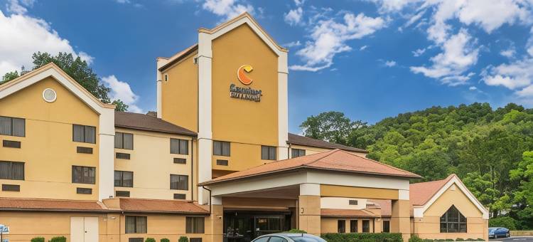 勒维尔坎伯兰舒适套房酒店(Comfort Inn & Suites LaVale - Cumberland)图片
