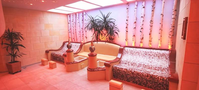 吉努斯 - 贝尔谢尔养生酒店(Wohlfühlhotel Bercher)图片