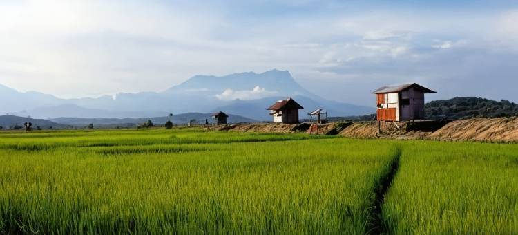 桃恩顾氏村民宿(Taun Gusi Village Homestay)图片
