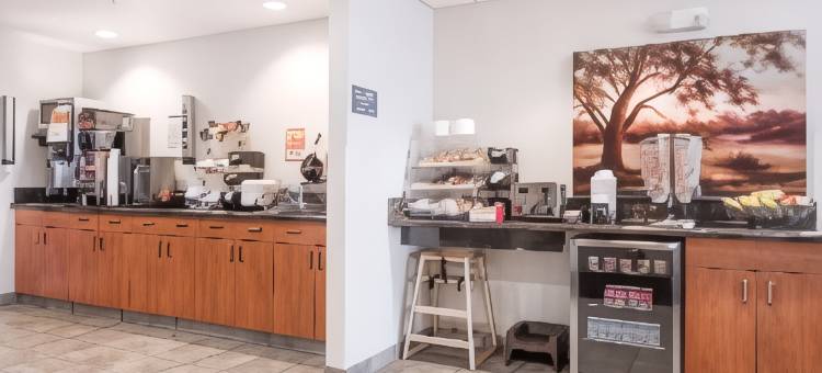 温德姆赖斯湖畔麦客达酒店(Microtel Inn & Suites by Wyndham Rice Lake)图片