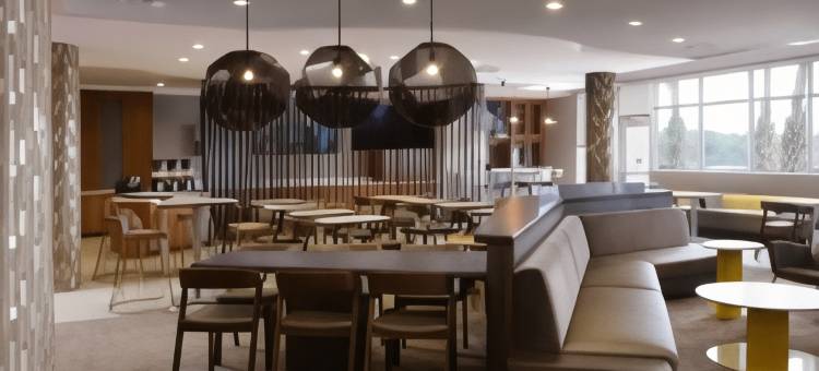 圣安东尼奥西北里姆SpringHill Suites酒店(SpringHill Suites San Antonio Northwest at the Rim)图片