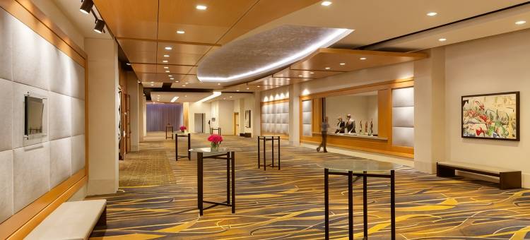 芝加哥瑞士酒店(Swissotel Chicago)图片