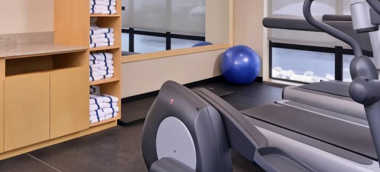 底特律商业区TownePlace套房酒店(TownePlace Suites Detroit Commerce)图片