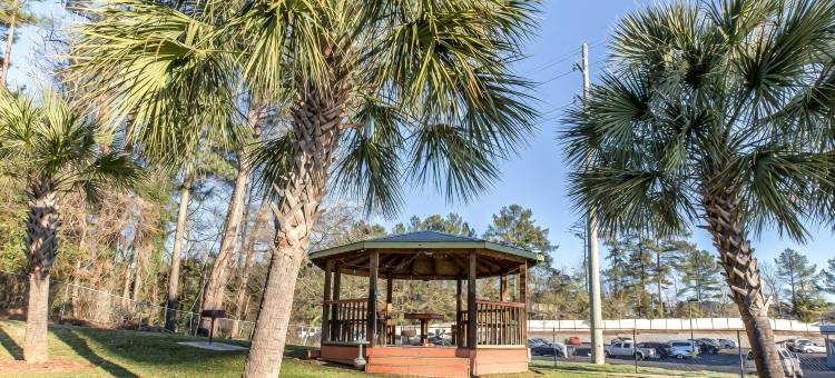 梅肯北凯艺套房酒店(Quality Inn & Suites Macon North)图片