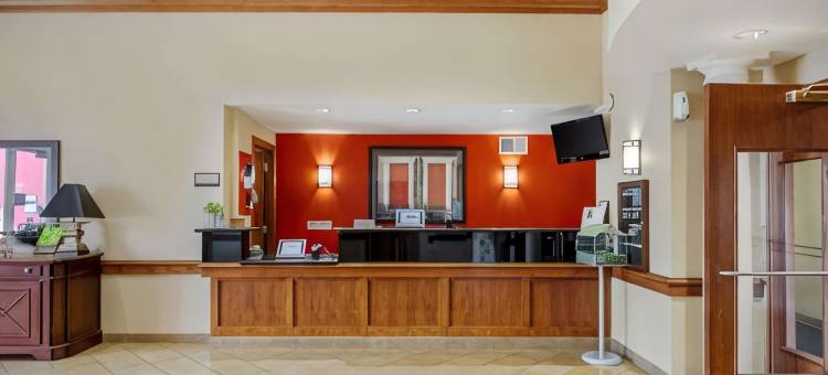 美洲长住套房酒店-拉斯维加斯火烈鸟(MainStay Suites Las Vegas Flamingo)图片