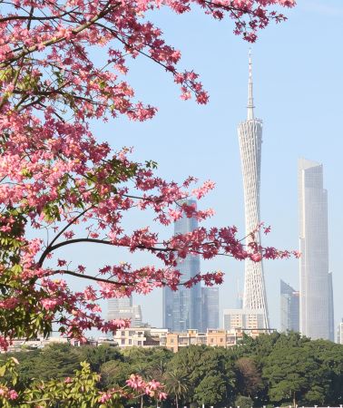 5天4晚 • 廣東廣州-珠海-廣州長隆-珠海長隆拼小團·-享美豪塔景房｜江景特色餐｜海洋王國-動物世界-登廣州塔