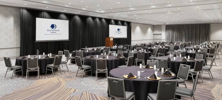 格林威广场休斯顿希尔顿逸林酒店(DoubleTree by Hilton Hotel Houston - Greenway Plaza)图片