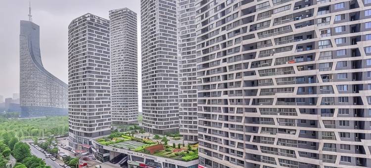 福禾·轻奢Loft公寓(合肥天鹅湖蔚蓝商务港店)图片