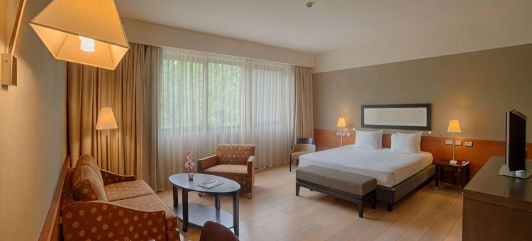 NH利纳特酒店(NH Linate)图片