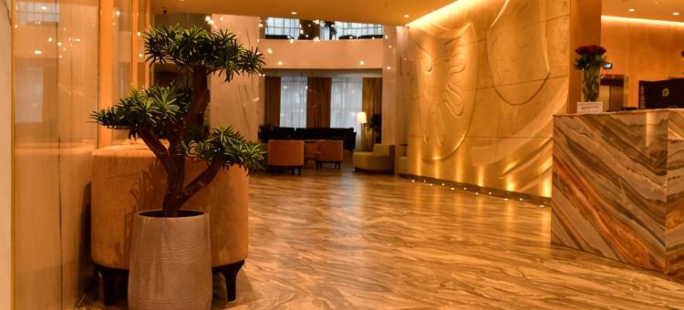 弗拉季高加索公园酒店(Vladikavkaz Park Hotel)图片
