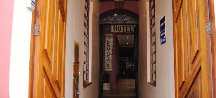 佩加索斯酒店(Hotel Pegasus)图片