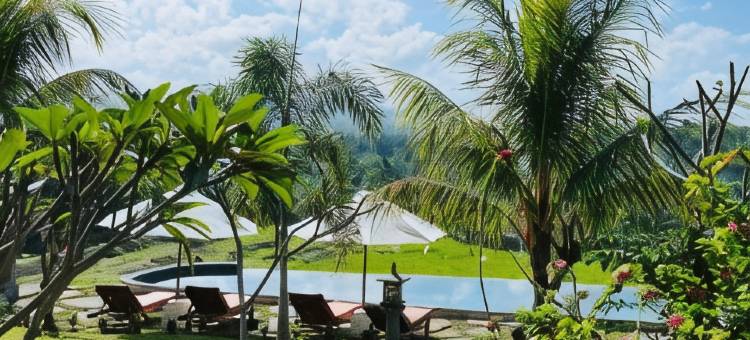 露台隐居处及水疗中心(Terrace Retreat & Spa Medewi)图片
