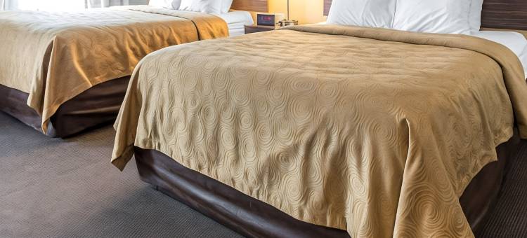 美斯泰套房-匹兹堡机场(MainStay Suites Pittsburgh Airport)图片