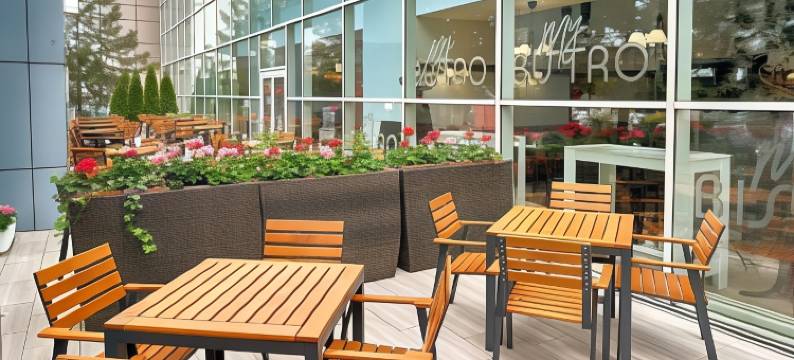 布加勒斯特北站宜必思酒店(My Continental Bucharest)图片