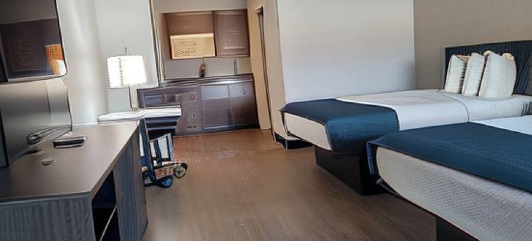 冈萨雷斯温德姆戴斯套房酒店(Days Inn & Suites by Wyndham Gonzales TX)图片