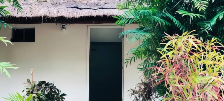 玛雅土地庇护所 Spa 酒店(Tierra Maya Hotel Spa & Sanctuary)图片