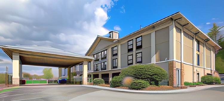 布恩 - 大学区凯艺套房酒店(Quality Inn & Suites Boone - University Area)图片